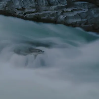 By this River