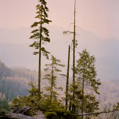 Overlook
