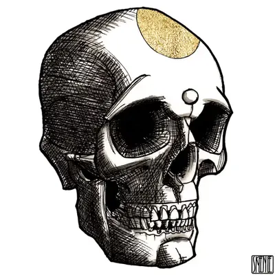 🎨34 | INK & GOLD | Human Skull 01