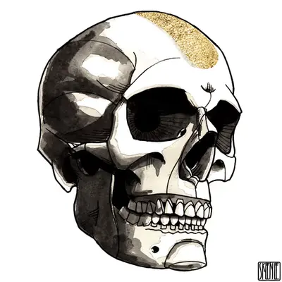 🎨39 | INK & GOLD | Human Skull 06