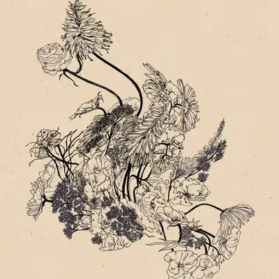 wild flowers