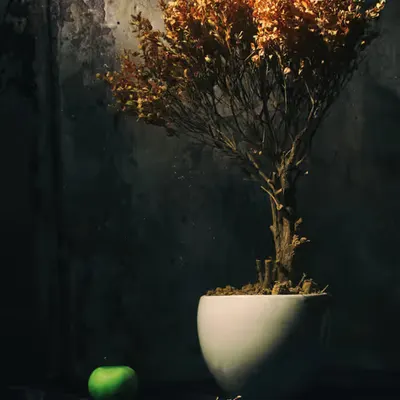 Still Life: The Fruit of Sin #11