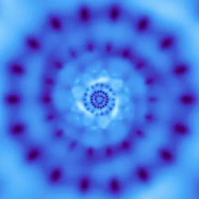 Blue Snow Rose