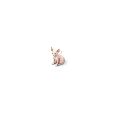 Meow