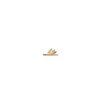 Digital Gyoza