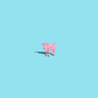 𝗦 𝘁𝗼 𝘁 𝗸 𝗮𝗹