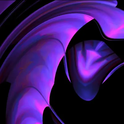 PURPLE ZONE 