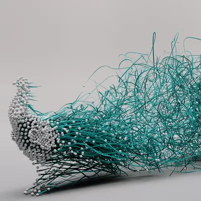 The Peacock #1/132