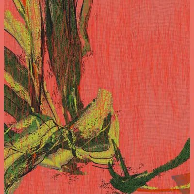 Möbius #16