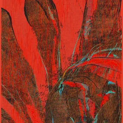 Möbius #4