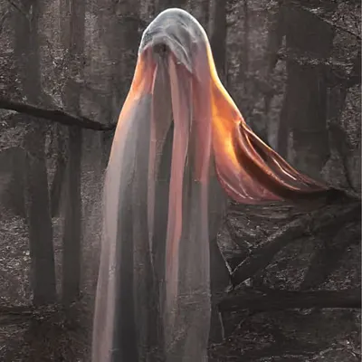Apparition