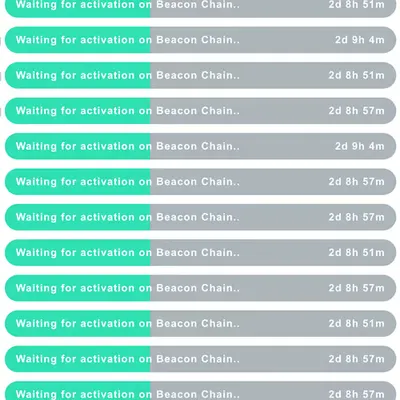 waiting for activation on beacon chain .. ~2d 8h 53m