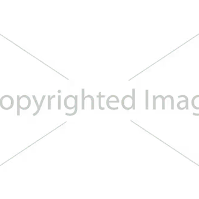 Copyrighted Image # 1