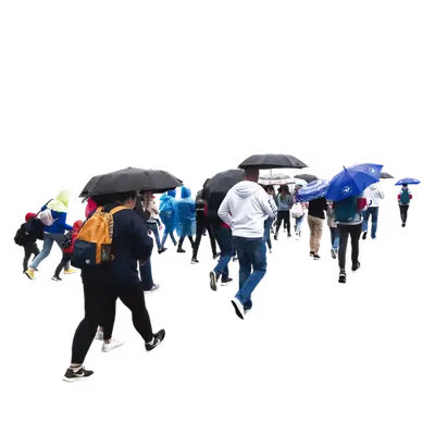 crosswalk _ 030