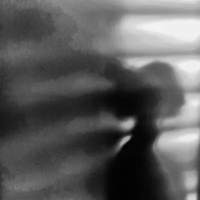 Echoes of Self