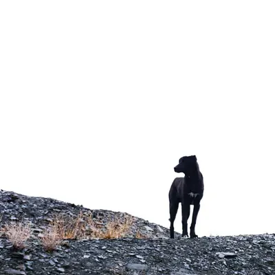 Hello to the unknown #2