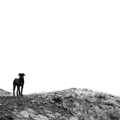 Hello to the unknown #3