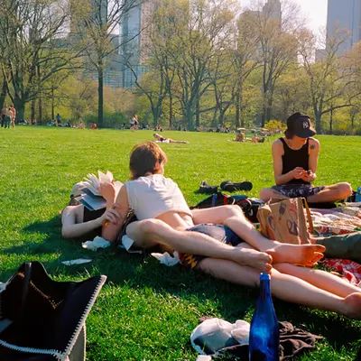 A Day in the Park