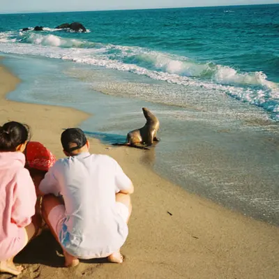 Summer Vacation