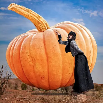 Dance on Halloween #7