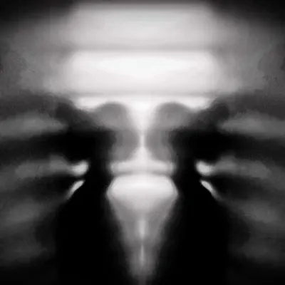 The Butterfly in the link #1