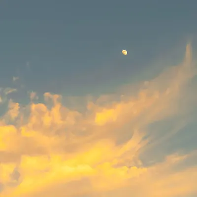 Chasing the Last Light