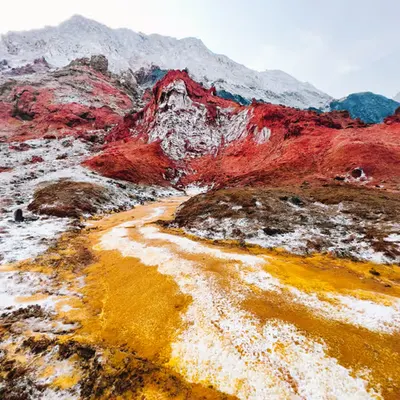 A Journey Through Alien Terrain