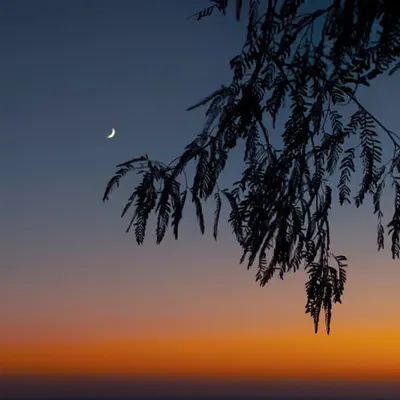 Moon & Star