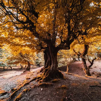 Standing in Solitude