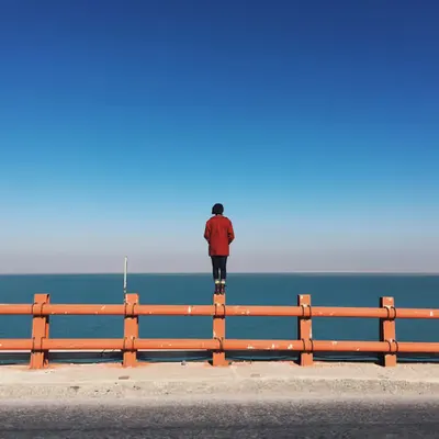 Lost in the Vastness