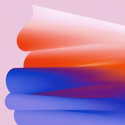 Cloth