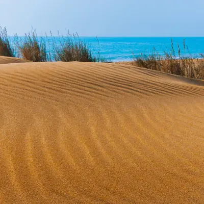 La Mémoire des Vagues