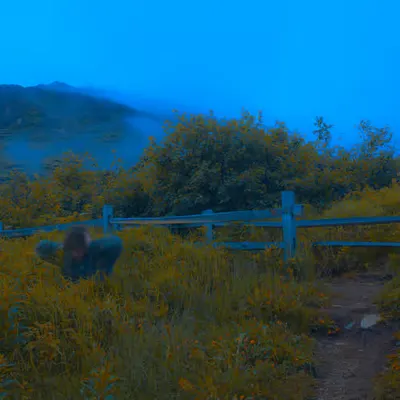 Sometimes I Feel Invisible