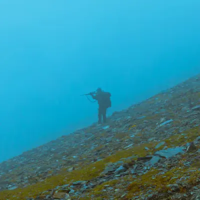The Hunt
