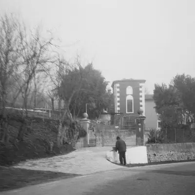 IMAGE 10