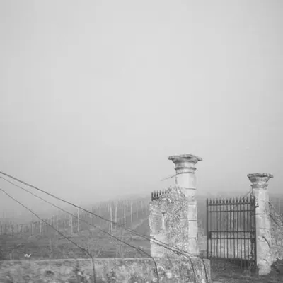 IMAGE 11