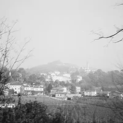 IMAGE 12