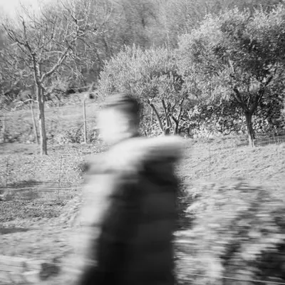IMAGE 24