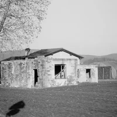 IMAGE 26