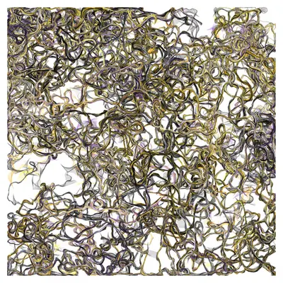 Variation Five #11