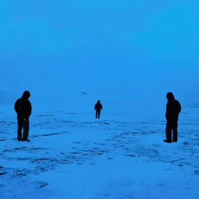 Decisions