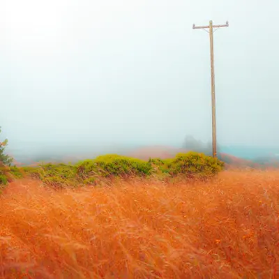 The Lonely Power Pole