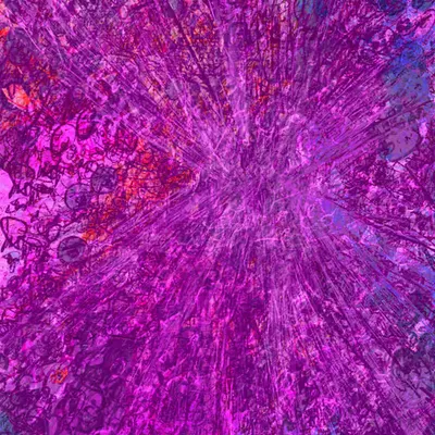 SUPERNOVA #1/284