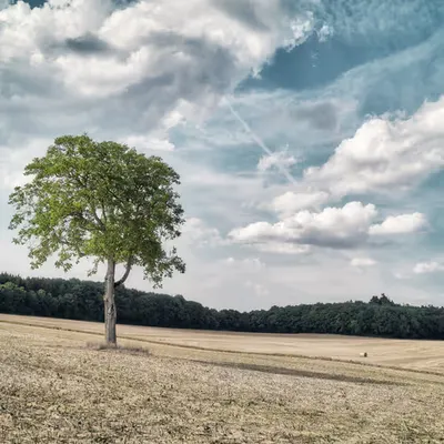 Tones of our visible world #1