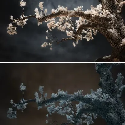 To The Sky - From raw to edit