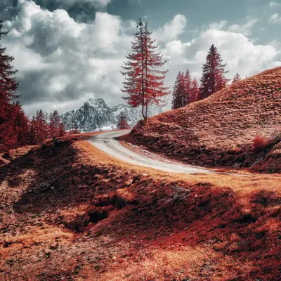 Afternoon Walk