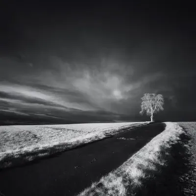 Last Light Of The Day