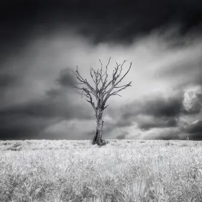 Standing Alone