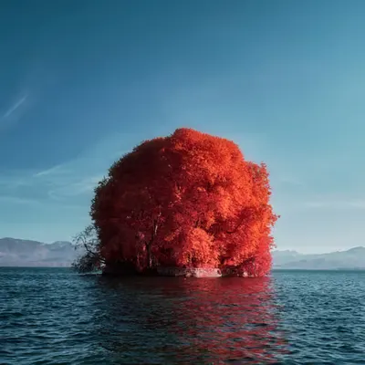Red is the new green