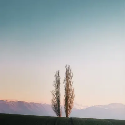 The Old Couple